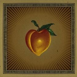 Ninja Gun Restless Rubes 