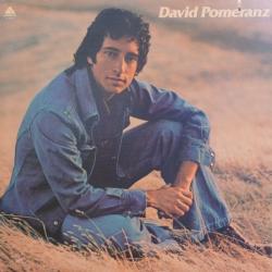 DAVID POMERANZ IT'S IN EVERYONE OF US Виниловая пластинка 