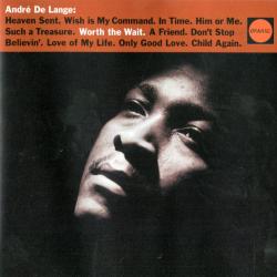 André De Lange Worth The Wait Фирменный CD 