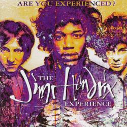 JIMI HENDRIX EXPERIENCE Are You Experienced? Фирменный CD 