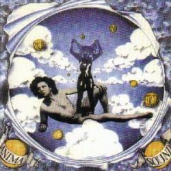 ANIMA Stürmischer Himmel Фирменный CD 