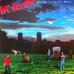 MR. MISTER WELCOME TO THE REAL WORLD Виниловая пластинка 