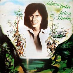 ADRIAN BAKER INTO A DREAM Виниловая пластинка 