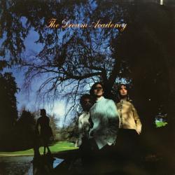 DREAM ACADEMY THE DREAM ACADEMY Виниловая пластинка 