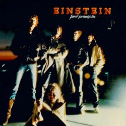 EINSTEIN FIRST PRINCIPLES Виниловая пластинка 
