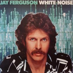JAY FERGUSON WHITE NOISE Виниловая пластинка 