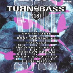 VARIOUS Turn Up The Bass - 18 Фирменный CD 