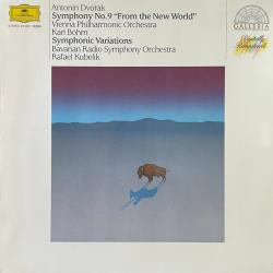 DVORAK Symphonie Nr.9 »Aus Der Neuen Welt« / Symphonische Variationen Виниловая пластинка 