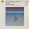 Symphonie Nr.9 »Aus Der Neuen Welt« / Symphonische Variationen