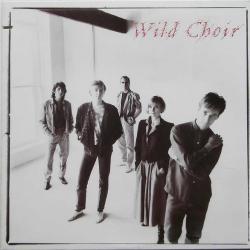 Wild Choir Wild Choir Виниловая пластинка 