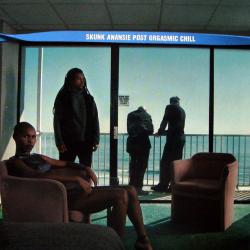 SKUNK ANANSIE Post Orgasmic Chill Фирменный CD 