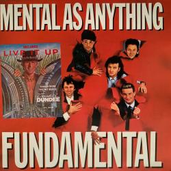 MENTAL AS ANYTHING FUNDAMENTAL Виниловая пластинка 