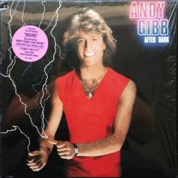 ANDY GIBB After Dark Виниловая пластинка 