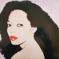 DIANA ROSS Silk Electric Виниловая пластинка 