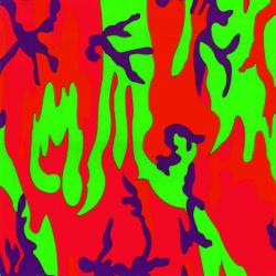 U.S. Maple Sang Phat Editor Фирменный CD 