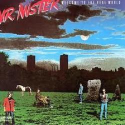 MR. MISTER WELCOME TO THE REAL WORLD Виниловая пластинка 