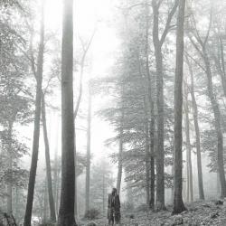 TAYLOR SWIFT Folklore Фирменный CD 