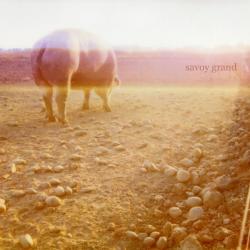 SAVOY GRAND Accident Book Фирменный CD 
