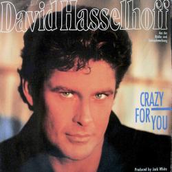 DAVID HASSELHOFF CRAZY FOR YOU Виниловая пластинка 