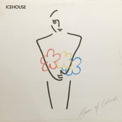 ICEHOUSE MAN OF COLOURS Виниловая пластинка 