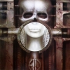 Brain Salad Surgery