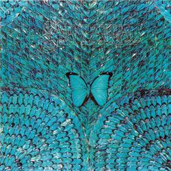 SANTANA Borboletta Фирменный CD 