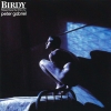 Birdy (Music From The Film By Peter Gabriel)
