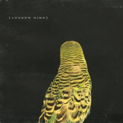 Andrew Bird Armchair Apocrypha Фирменный CD 