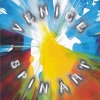 Spin Art