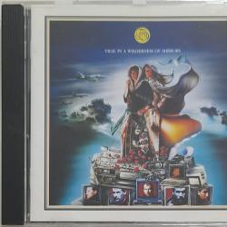 FISH Vigil In A Wilderness Of Mirrors Фирменный CD 