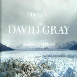 DAVID GRAY Life In Slow Motion Фирменный CD 