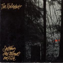 The Walkabouts Setting The Woods On Fire Фирменный CD 