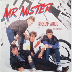 MR. MISTER BROKEN WINGS (EXTENDED VERSION) Виниловая пластинка 