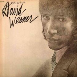 DAVID WERNER IMAGINATION QUOTA Виниловая пластинка 