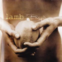 LAMB BETWEEN DARKNESS AND WONDER Фирменный CD 