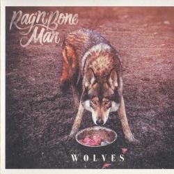 Rag'n'Bone Man Wolves Фирменный CD 