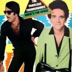 The Fabulous Thunderbirds What's The Word Виниловая пластинка 