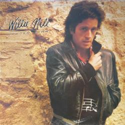 Willie Nile GOLDEN DOWN Виниловая пластинка 