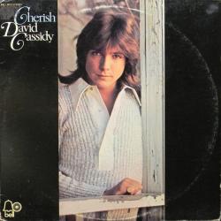DAVID CASSIDY CHERISH Виниловая пластинка 