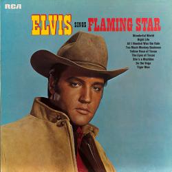 ELVIS PRESLEY ELVIS SINGS FLAMING STAR Виниловая пластинка 