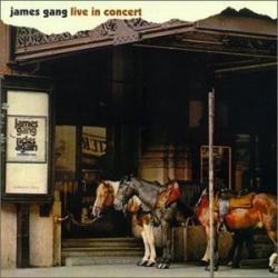JAMES GANG Live In Concert Виниловая пластинка 