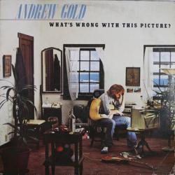 ANDREW GOLD WHAT'S WRONG WITH THIS PICTURE? Виниловая пластинка 