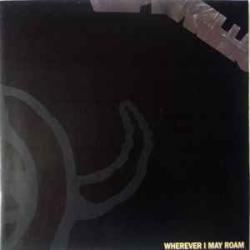 METALLICA WHEREVER I MAY ROAM Виниловая пластинка 