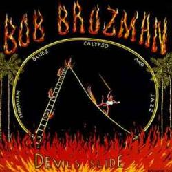 BOB BROZMAN DEVIL'S SLIDE Фирменный CD 