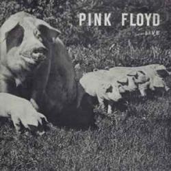 PINK FLOYD LIVE Виниловая пластинка 