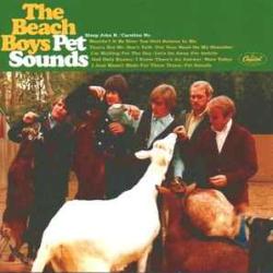 BEACH BOYS PET SOUND  CD+DVD Фирменный CD 