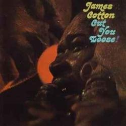 JAMES COTTON CUT YOU LOOSE! Фирменный CD 