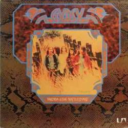 GYPSY BRENDA & THE RATTLESNAKE Виниловая пластинка 