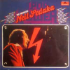 FANTASTIC NEIL SEDAKA