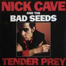 NICK CAVE AND THE BAD SEEDS TENDER PREY Виниловая пластинка 